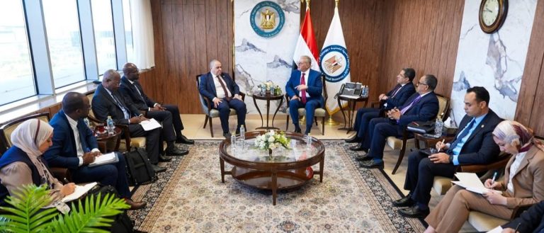 Cairo–APPO Talks Spotlight Deepening African Energy Integration and Financing Agenda