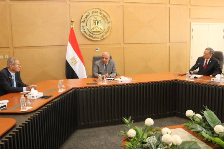 Egypt Deepens Engagement with Chinese Energy Firms to Accelerate Renewable Integration