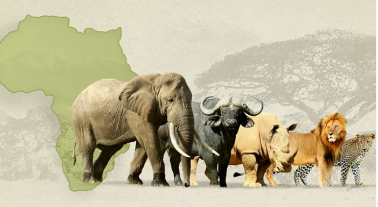 Southern African Sustainable Energy Conference (SASEC) 2026