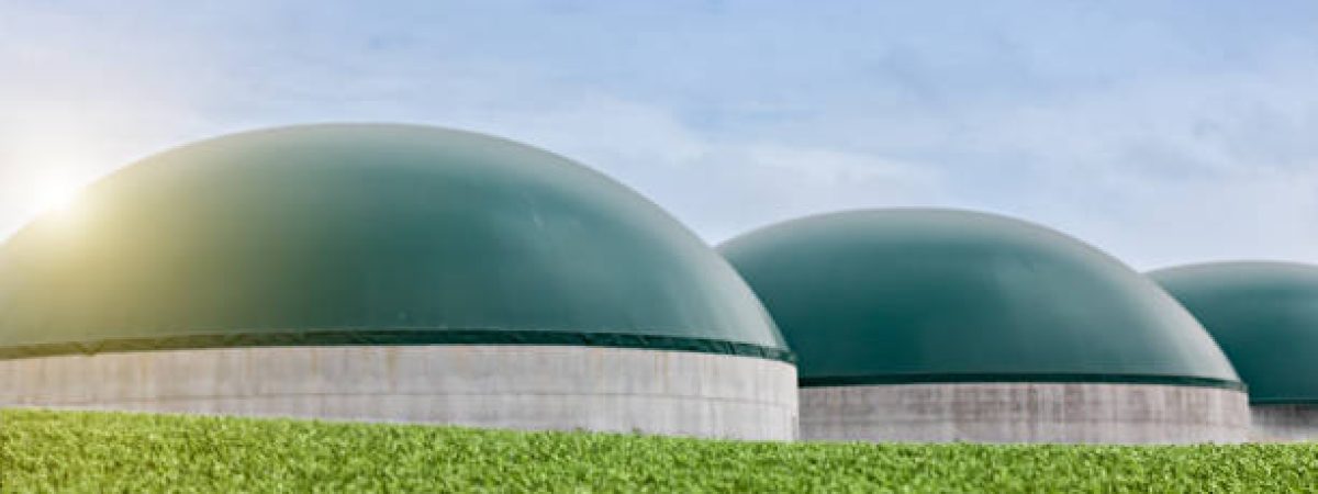 Biogas production, biogas plant, bio power