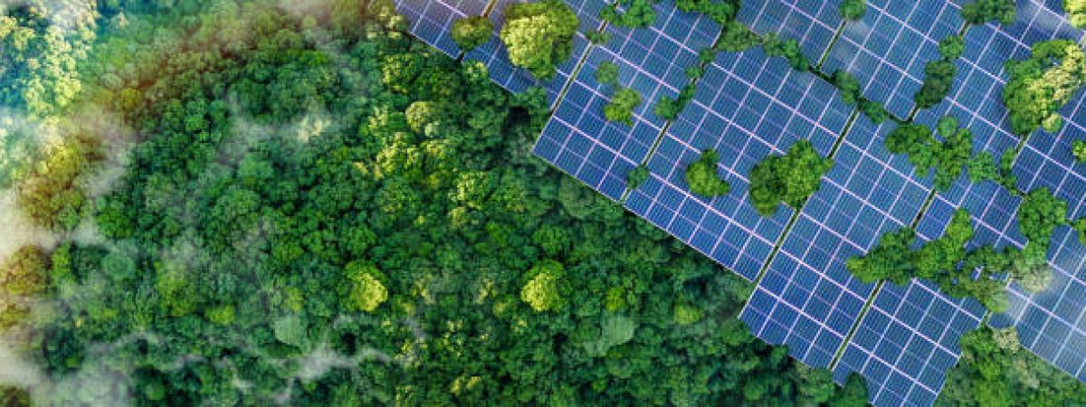 Solar panels installed in the green forest, clean alternative energy concept, sustainable energy, environment, solar power, generator